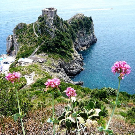 Cosa vedere e visitare Conca dei Marini